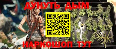 спиды Заводоуковск