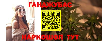спиды Заводоуковск