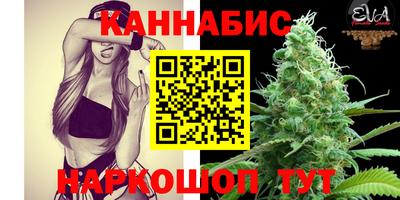 спиды Заводоуковск