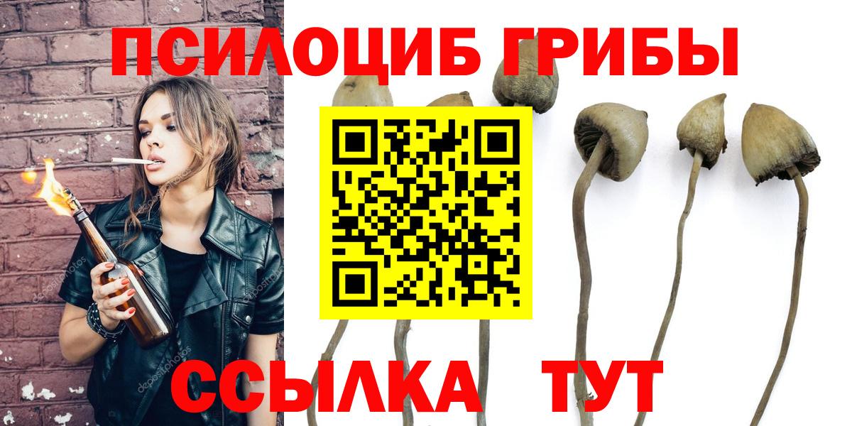 Псилоцибиновые грибы мицелий Ленинск-Кузнецкий