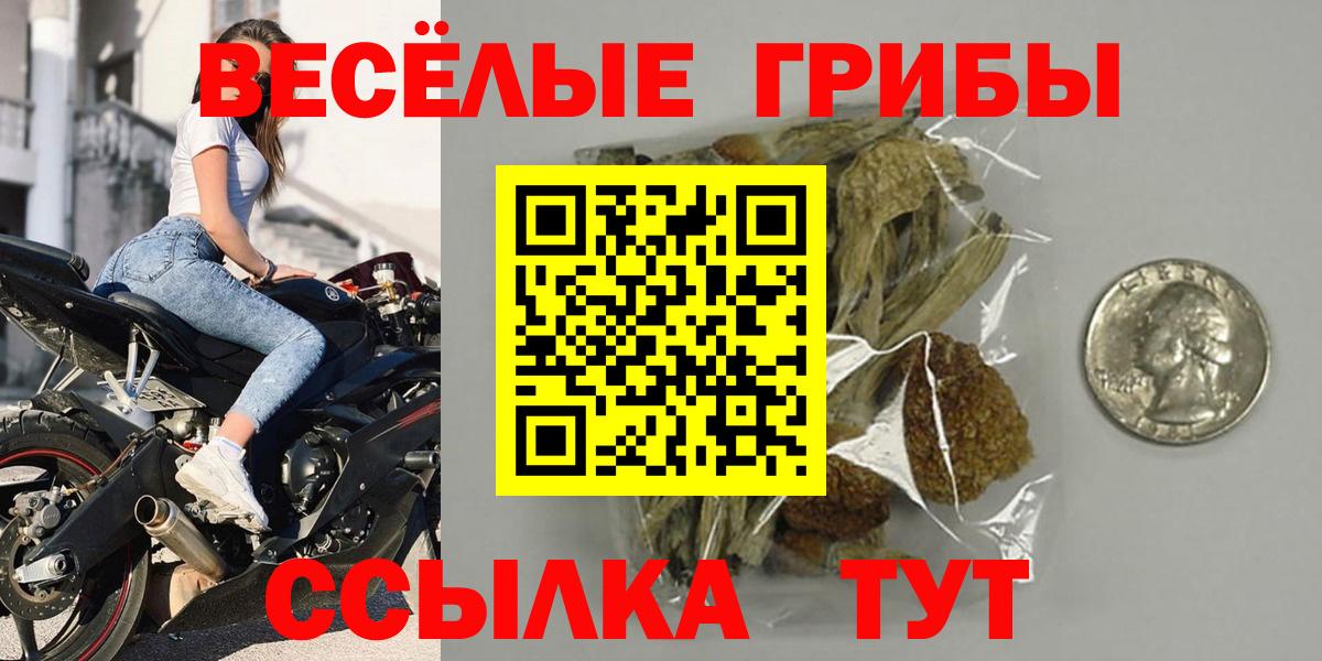 Ленинск-Кузнецкий  Псилоцибиновые грибы Psilocybine cubensis  Псилоцибиновые грибы Magic Shrooms  Вход с VPN 