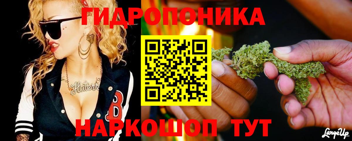 Марихуана White Widow Ленинск-Кузнецкий